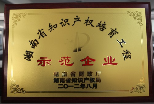 ����ʡ֪ʶ��Ȩ��͹���ʦ����ҵ2012.8