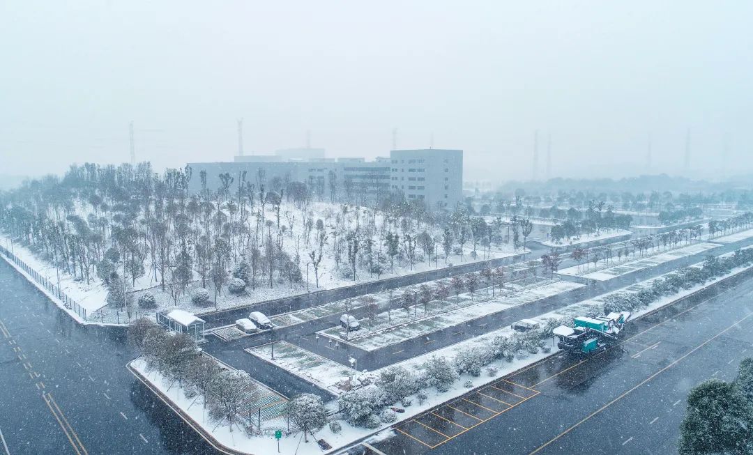 ��ѩ�׷�������������ѩ��qyh���ѻ������
